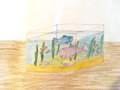 Aquarium mit Fischen, Buntstiftzeichnung
